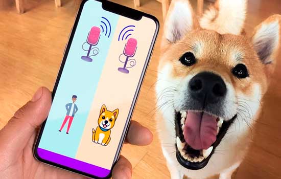 Understanding Your Pet's Sounds: Fun Interpretations
